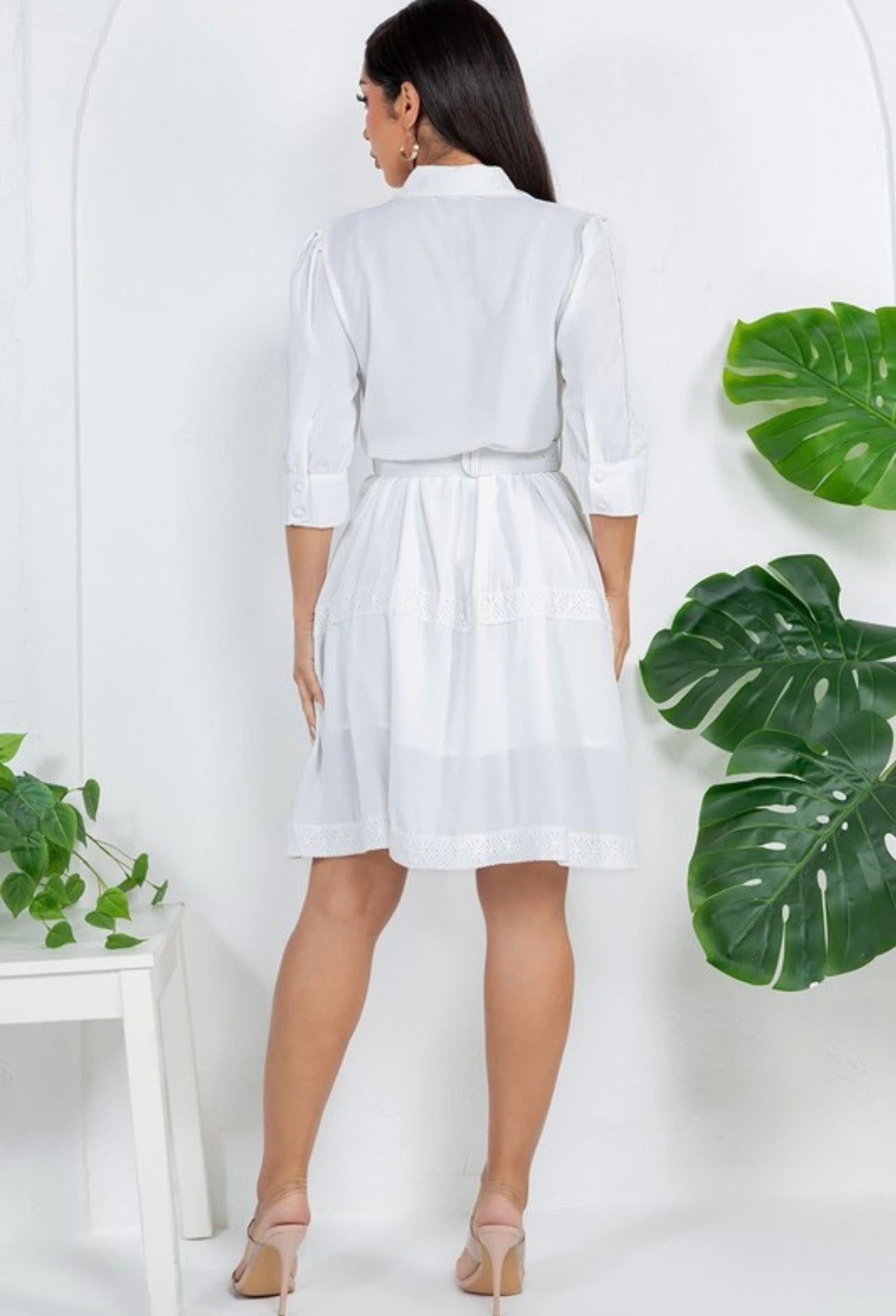 Solid Crochet Belted Short Dress