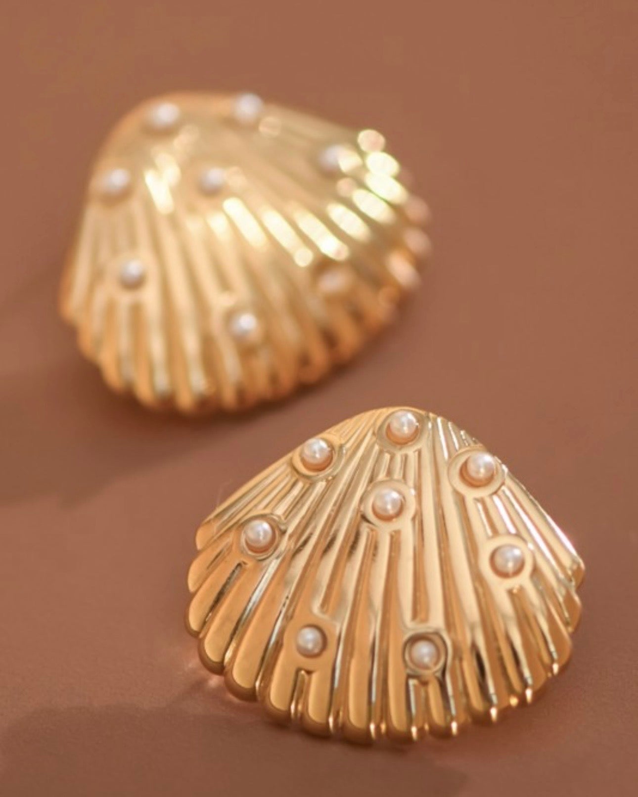 Stainless steel earrings